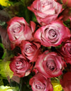 10 Export Quality Roses